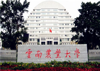 云南农业大学2021年成人高考招生简章